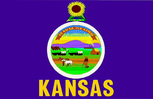 Kansas flag