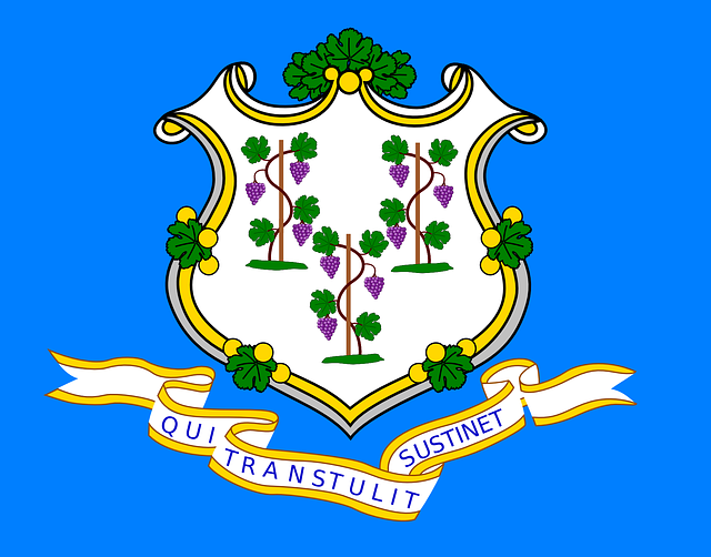 Connecticut state flag