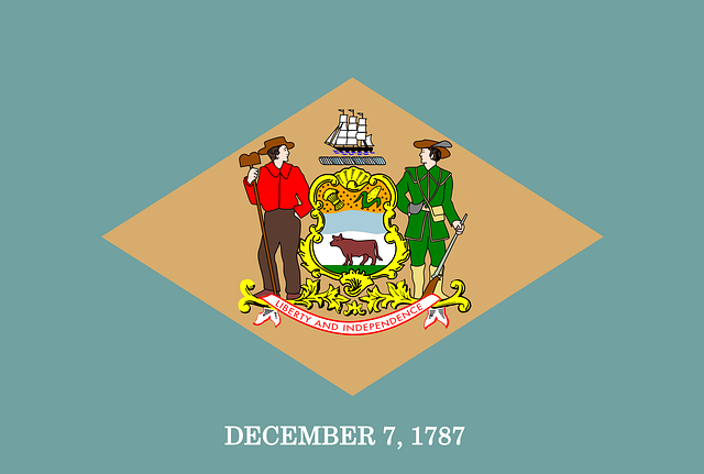 Delaware state flag