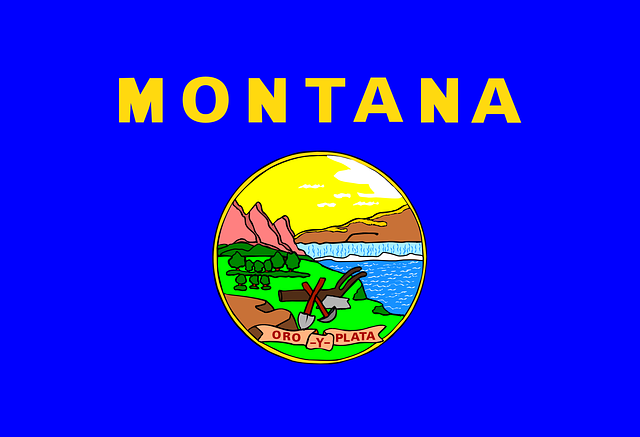 Montana state flag