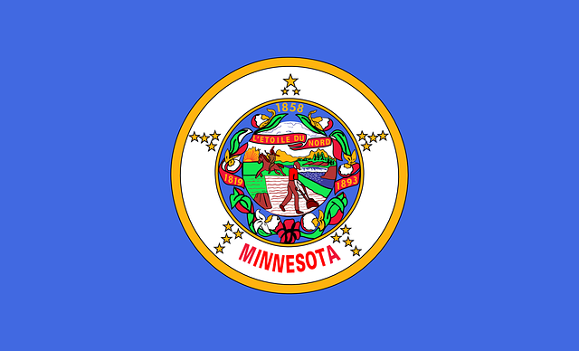 Minnesota state flag