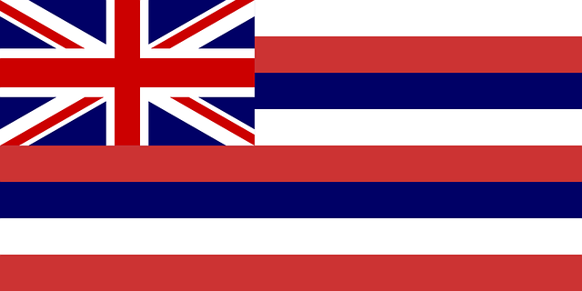 Hawaii state flag